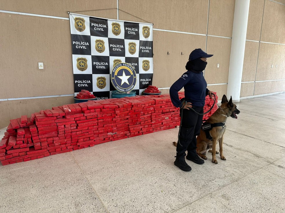 Mais de 1 tonelada de maconha apreendida em Parnamirim, na Grande Natal — Foto: Pedro Trindade/Inter TV Cabugi