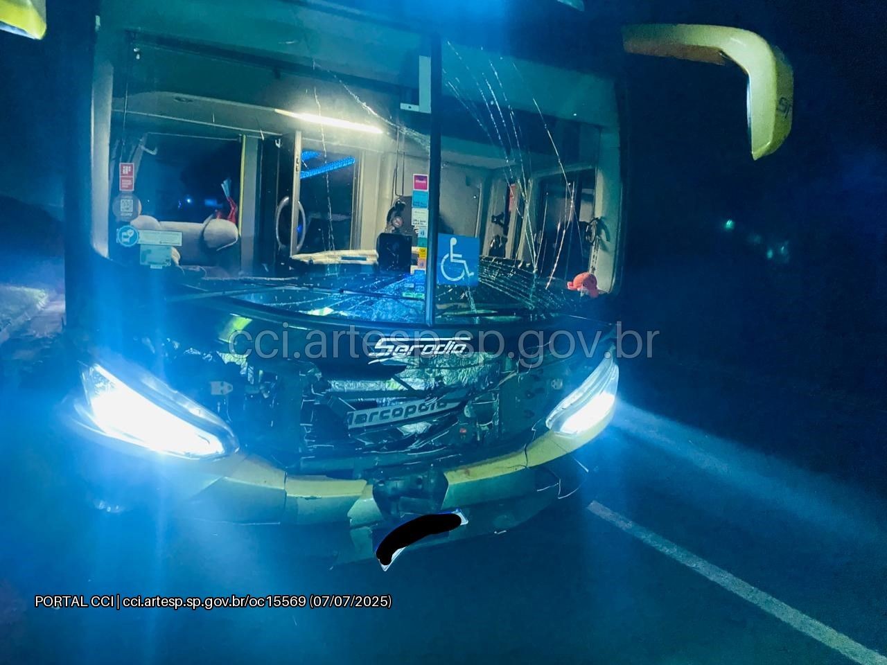 Ônibus com 60 passageiros atropela e mata bovinos na Rodovia Anhanguera