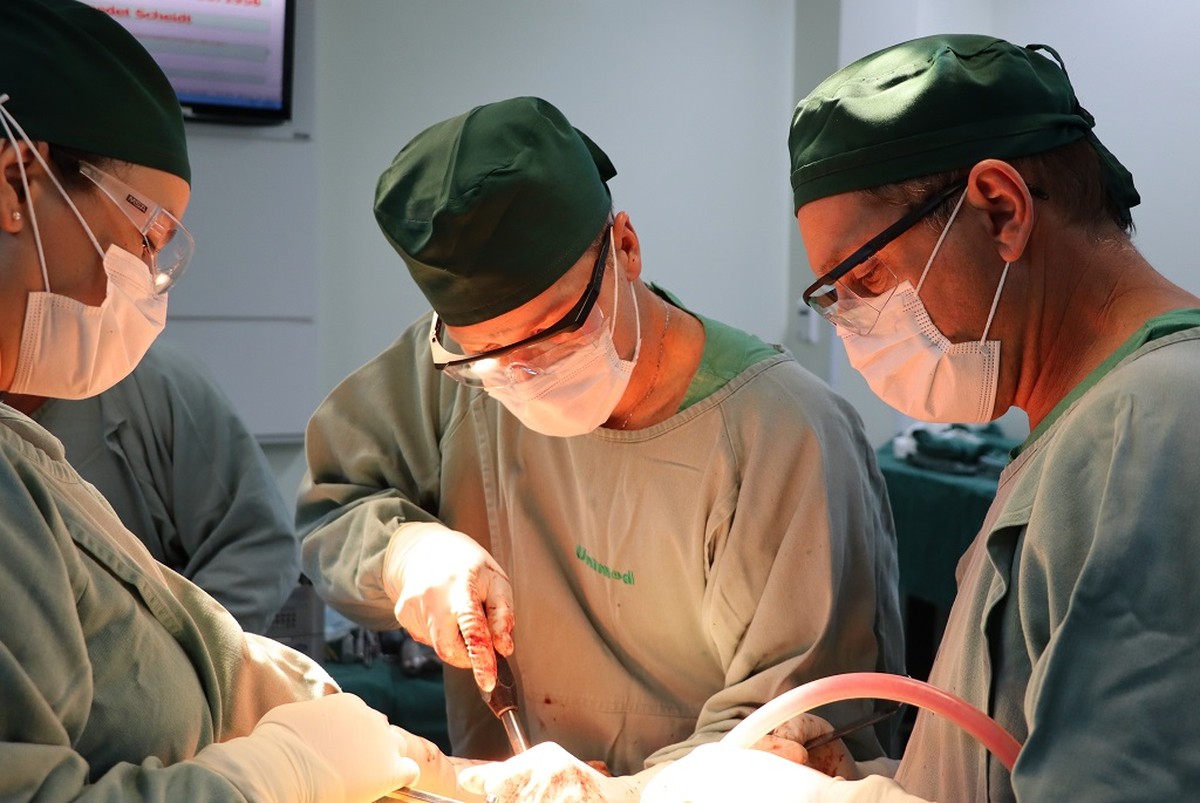 Unimed Criciúma Hospital performs its first bone transplant |  Unimed Criciuma’s own ad