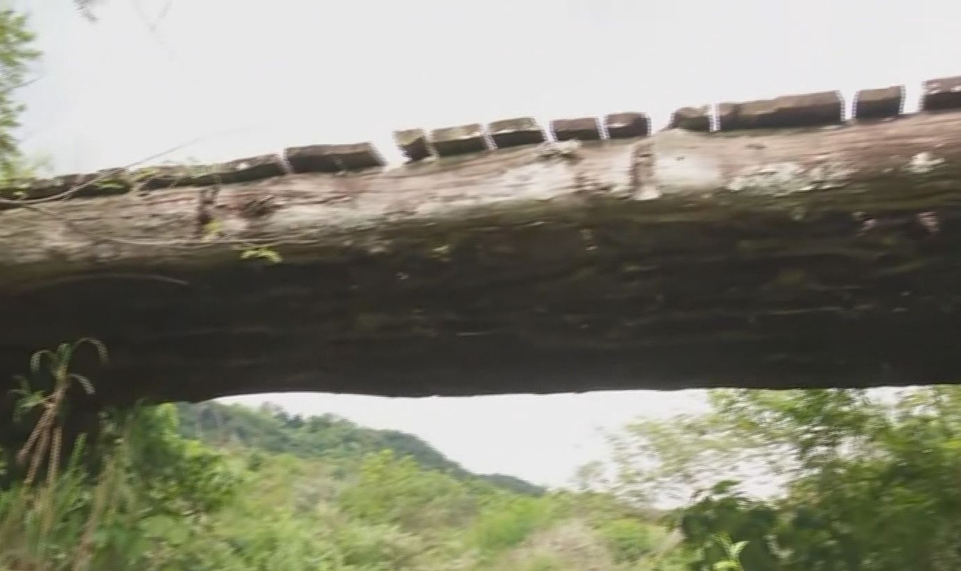 Ponte tem buracos, tábuas soltas e madeira podre no interior de SP; produtores rurais temem queda
