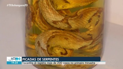 Tocantins registra mais de 200 casos de picadas de serpentes em 2026