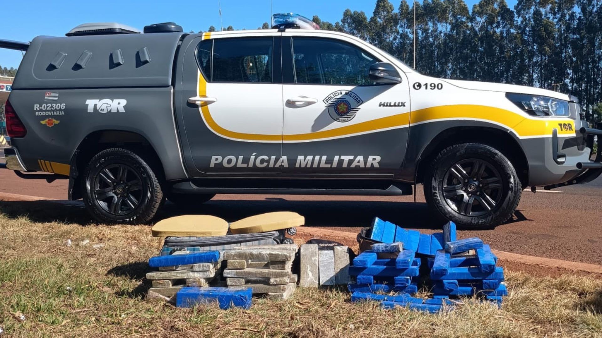 Dois homens são presos suspeitos de transportar 49 kg de maconha em ônibus interestadual no interior de SP