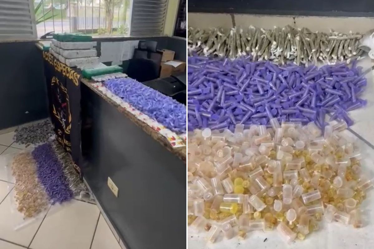 PM apreende 20 kg de drogas enterradas em área de mata em SP; VÍDEO