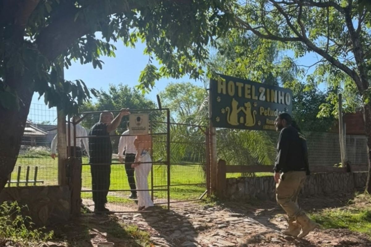 Hotel para pets fecha após dona ser filmada batendo em cães