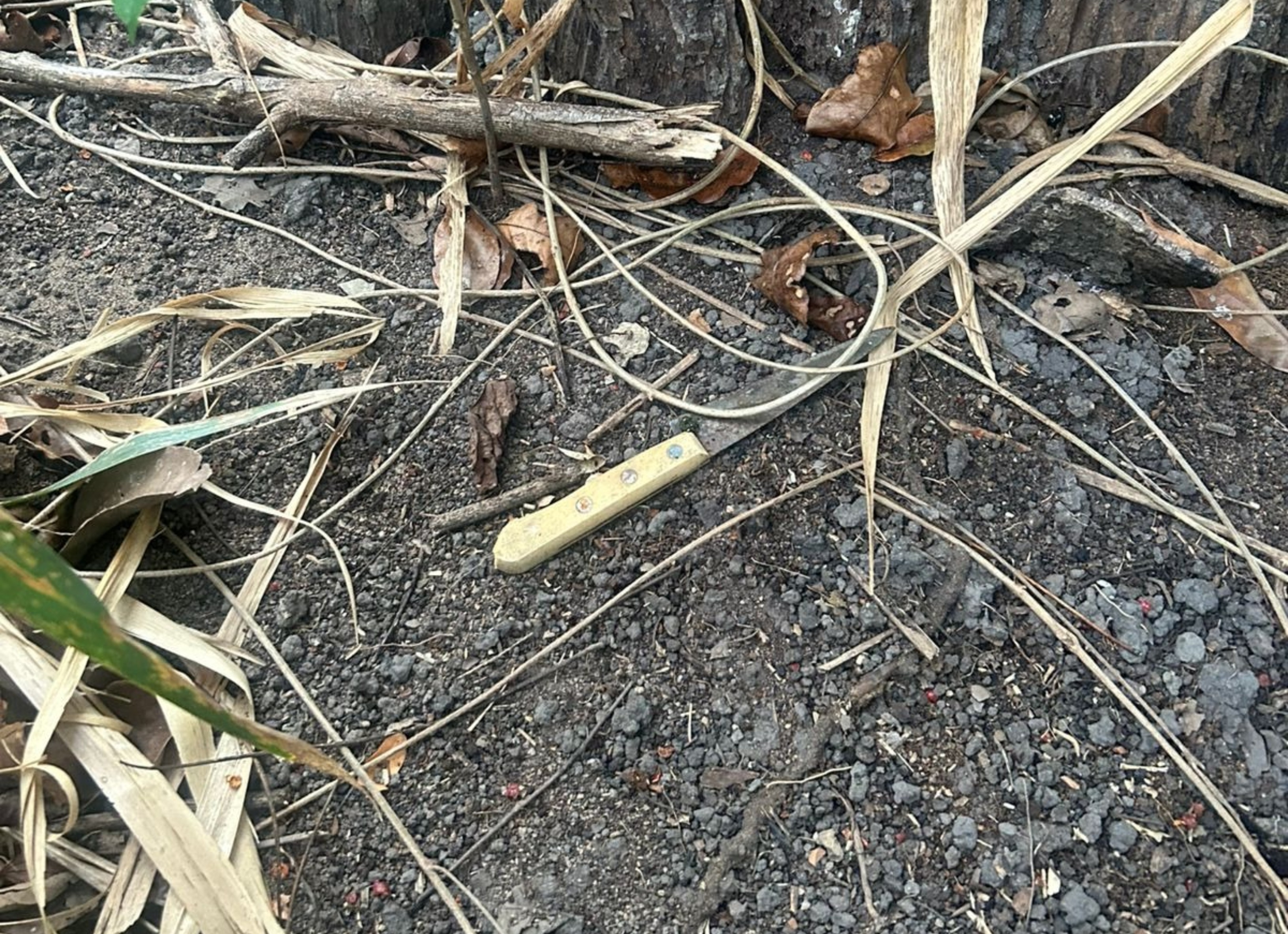 Dupla é presa por matar mulher a facadas após ela recusar ter relação sexual