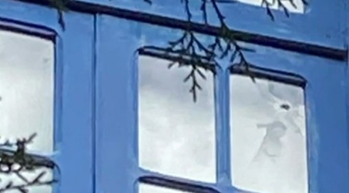 Tiro na cabeça mata médica dentro do hospital da Marinha no Rio
