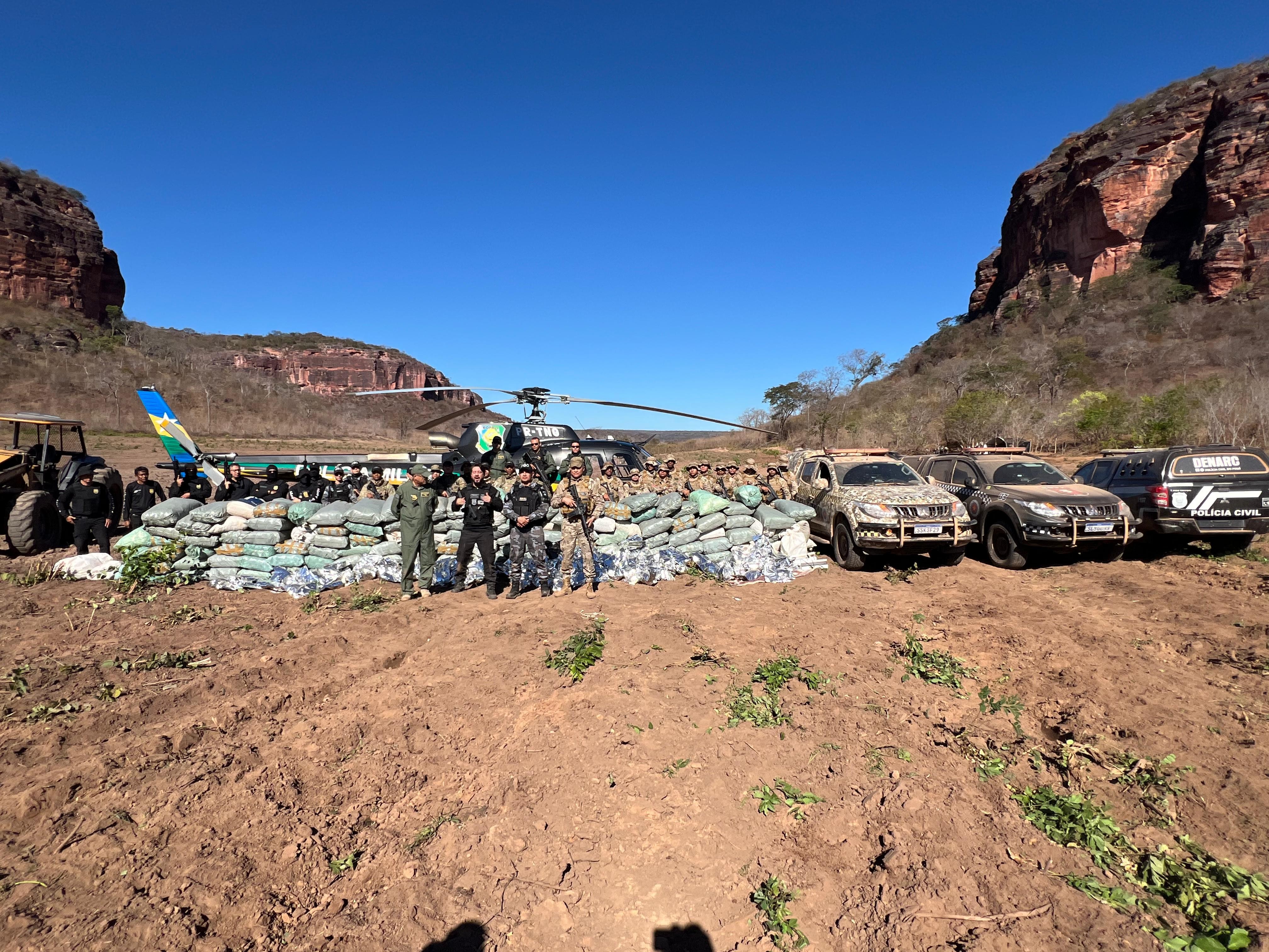 Vídeo: plantação de cinco hectares de maconha é encontrada no Sul do Piauí
