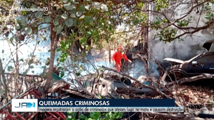 Imagens mostram a ação de criminosos que ateiam fogo na mata e causam destruição