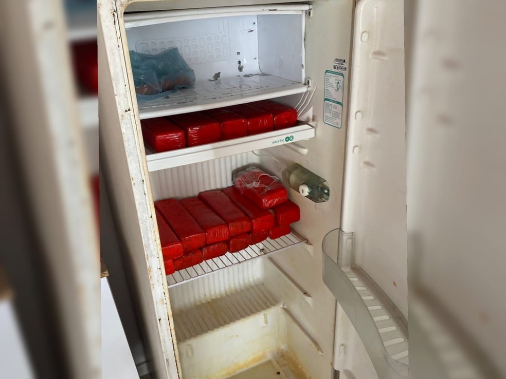 Polícia apreendeu 14,5 quilos de maconha armazenados em geladeira. — Foto: Polícia Civil/ Divulgação