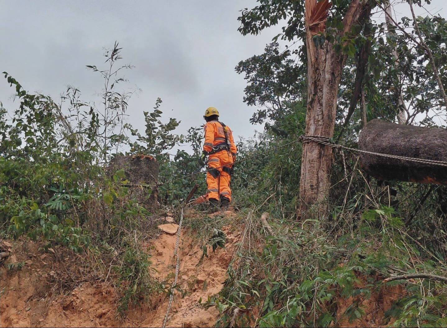 Homem morre atingido por árvore ao fazer corte da planta em loteamento na Grande BH