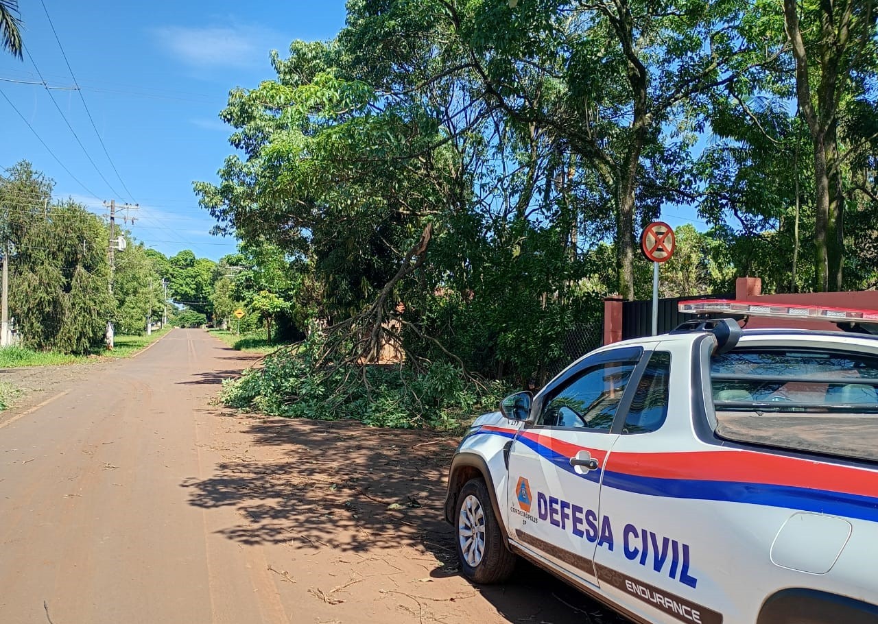 Onda de calor: previsão indica mínimas de 23ºC e máximas de 35ºC na região de Piracicaba; veja como fica o tempo