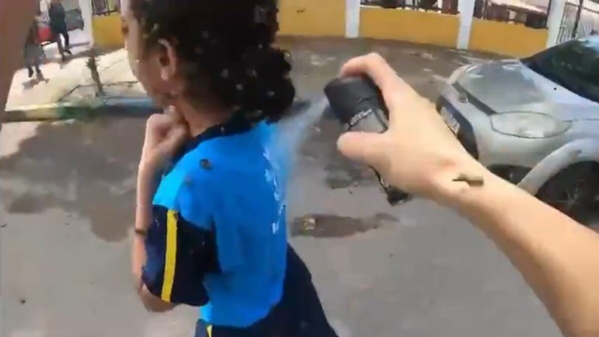 Homem que socorreu menina atacada por abelhas relata resgate: ‘Foi instituto mesmo'