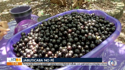 Taquaruçu promove Festa da Colheita da Jabuticaba