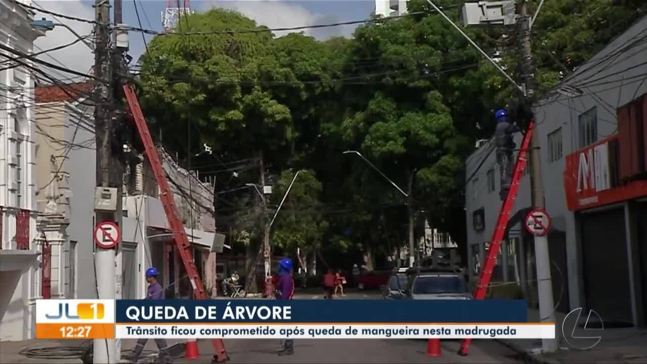 VÍDEOS: Jornal Liberal 1ª Edição deste sábado, 21 de dezembro de 2024