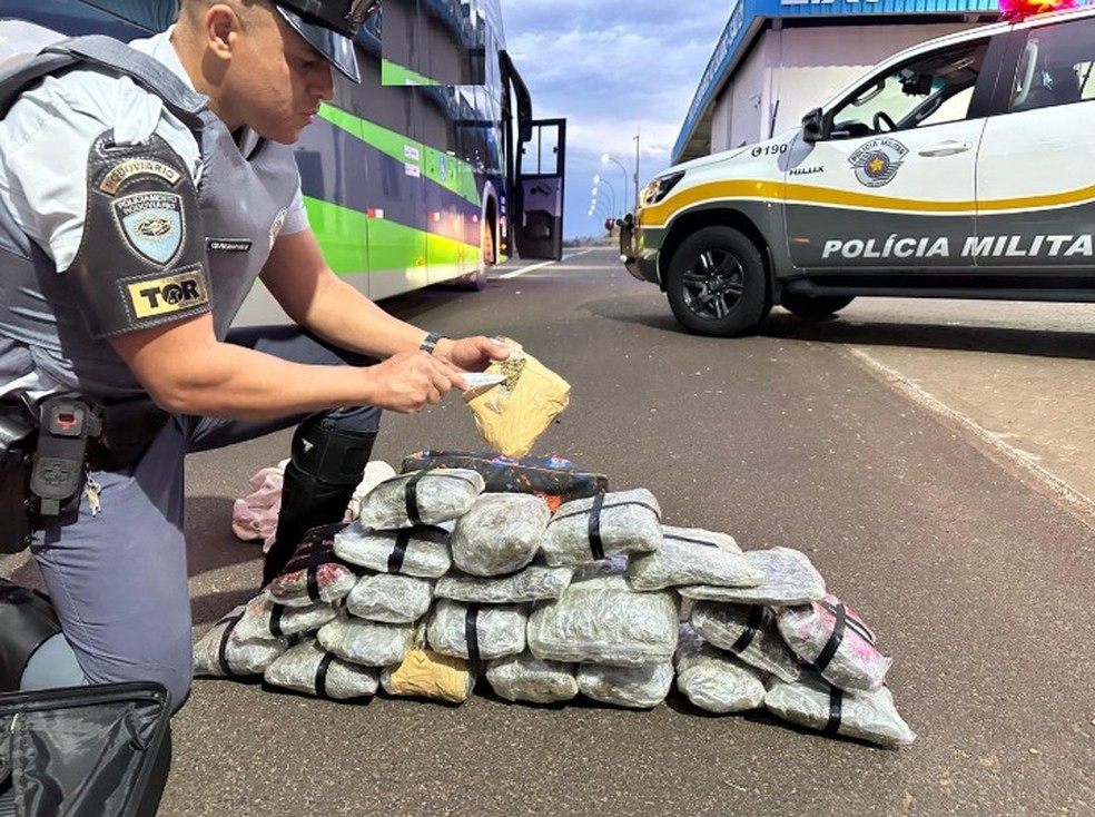 Ocorrência foi registrada em Irapuru (SP) — Foto: Polícia Rodoviária