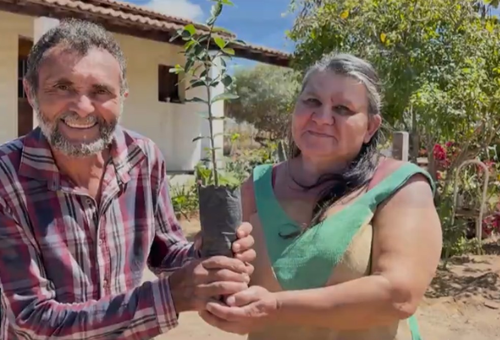 Agricultores utilizam sistema de reaproveitamento da �gua no viveiro de mudas. � Foto: Reprodu��o/TV Cabo Branco