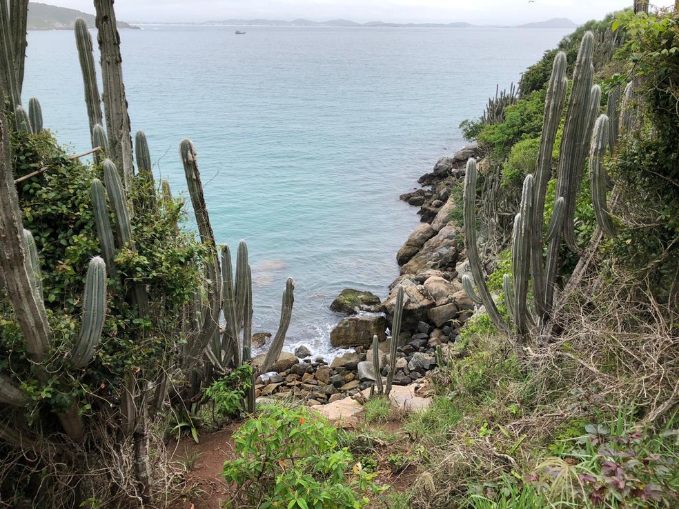 Dono de agência cancela viagem de 52 pessoas para Arraial do Cabo e  desaparece: 'peço mil desculpas', Arraial do Cabo - Rio de Janeiro