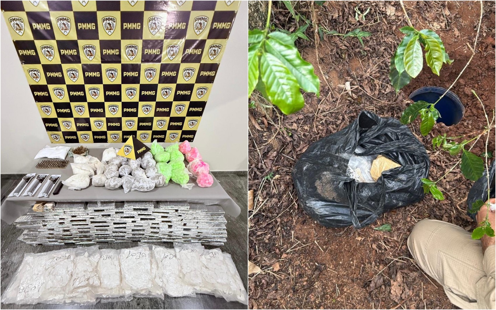 Polícia apreende mais de 100 kg de drogas e munições escondidas em cafezal em Campo Belo, MG