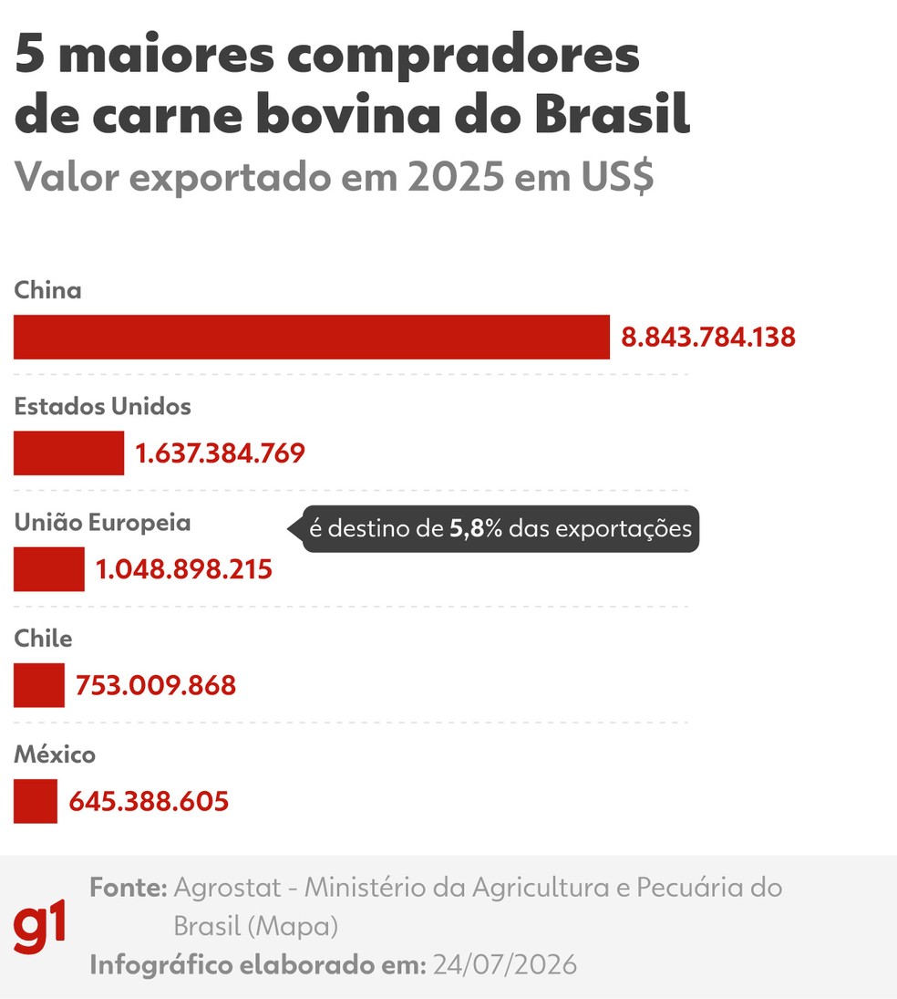 5 maiores compradores de carne bovina do Brasil. — Foto: Arte/g1