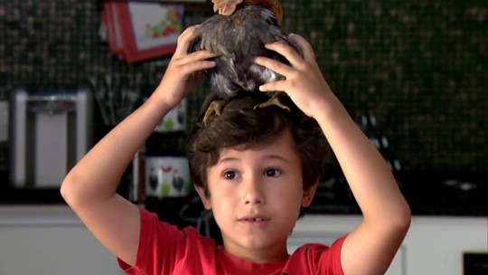 Raça da menor galinha do mundo é criada como pet e pode custar até R$ 3,5 mil - Também conhecida como galinha anã, a Serama tem, em média, 15 cm de altura – bem menor do que uma raça de grande porte, que pode atingir 75 cm.