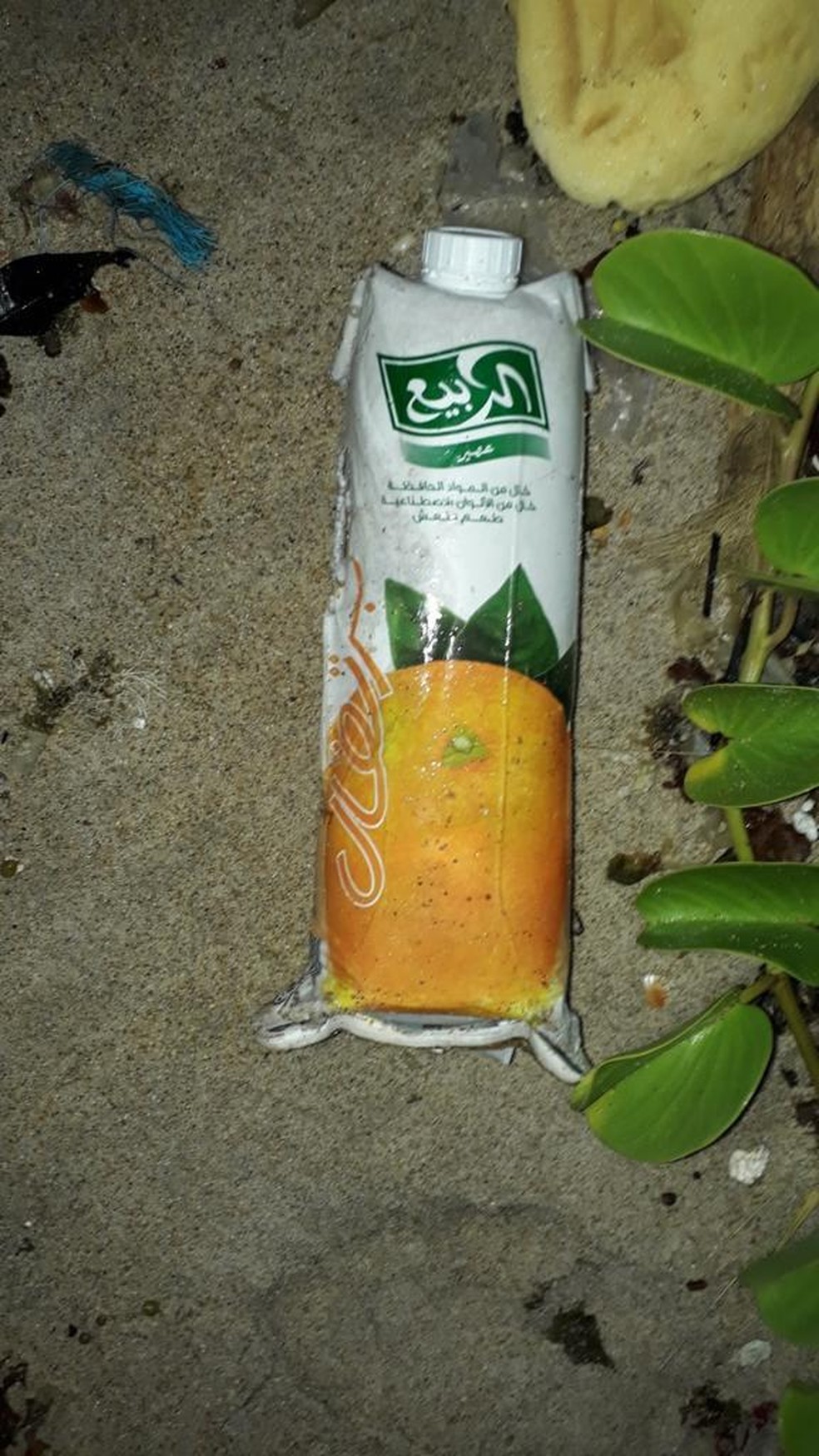 Garrafa na praia no litoral do RN — Foto: Divulgação/APC CABO DE SÃO ROQUE