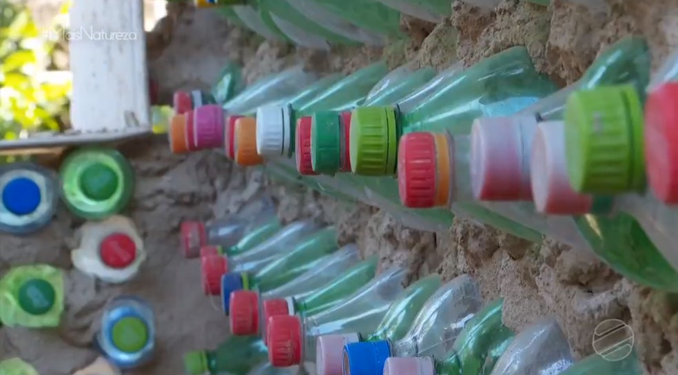 Parede preenchida com garrafas pets em MT  Foto: TV Centro Amrica