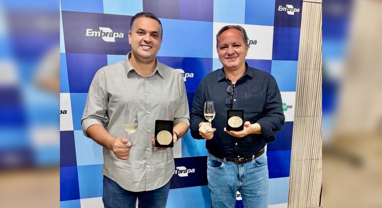 Vinhos de São Roque conquistam medalhas de ouro em seleção nacional da uva BRS Lorena