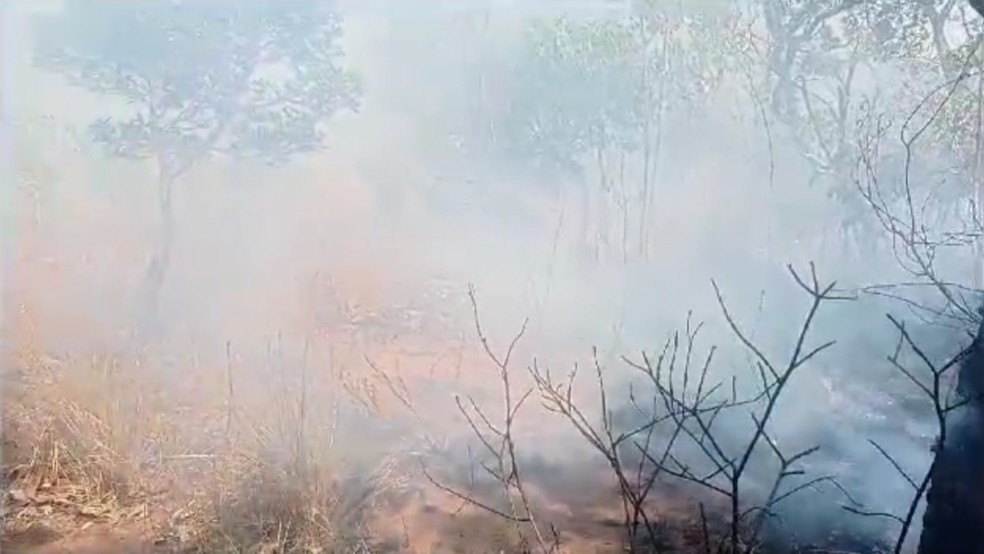 Incêndio atinge região da Serra do Mimo no oeste da Bahia — Foto: Divulgação/PrevFogo