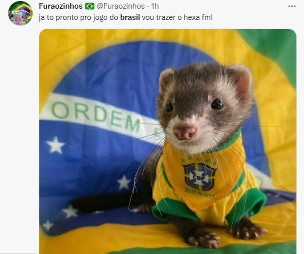 Brasil x Suíça: veja os melhores memes do jogo na Copa