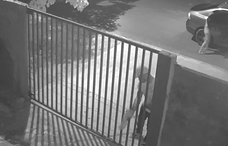 Câmera de segurança flagra momento em que homem abandona cachorros em abrigo de Cacoal, RO