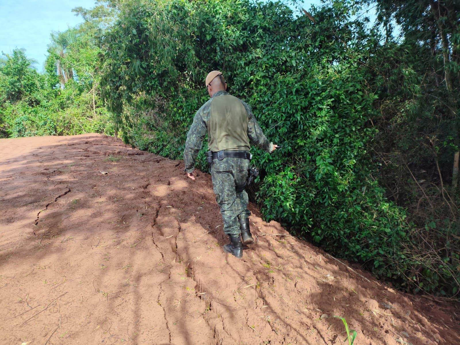 Homem é multado em mais de R$ 4,4 mil por degradar Área de Preservação Permanente às margens do Rio Paraná, em Rosana