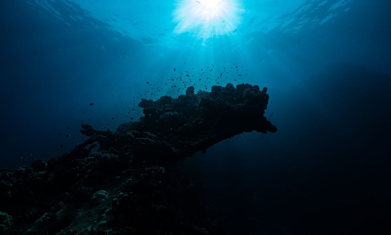 'Oceano sem luz': estudo revela enigma sobre os micróbios mais abundantes das profundezas