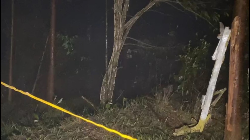 Destroços de avião de pequeno porte que caiu em Santa Branca, SP — Foto: Reprodução/TV Vanguarda