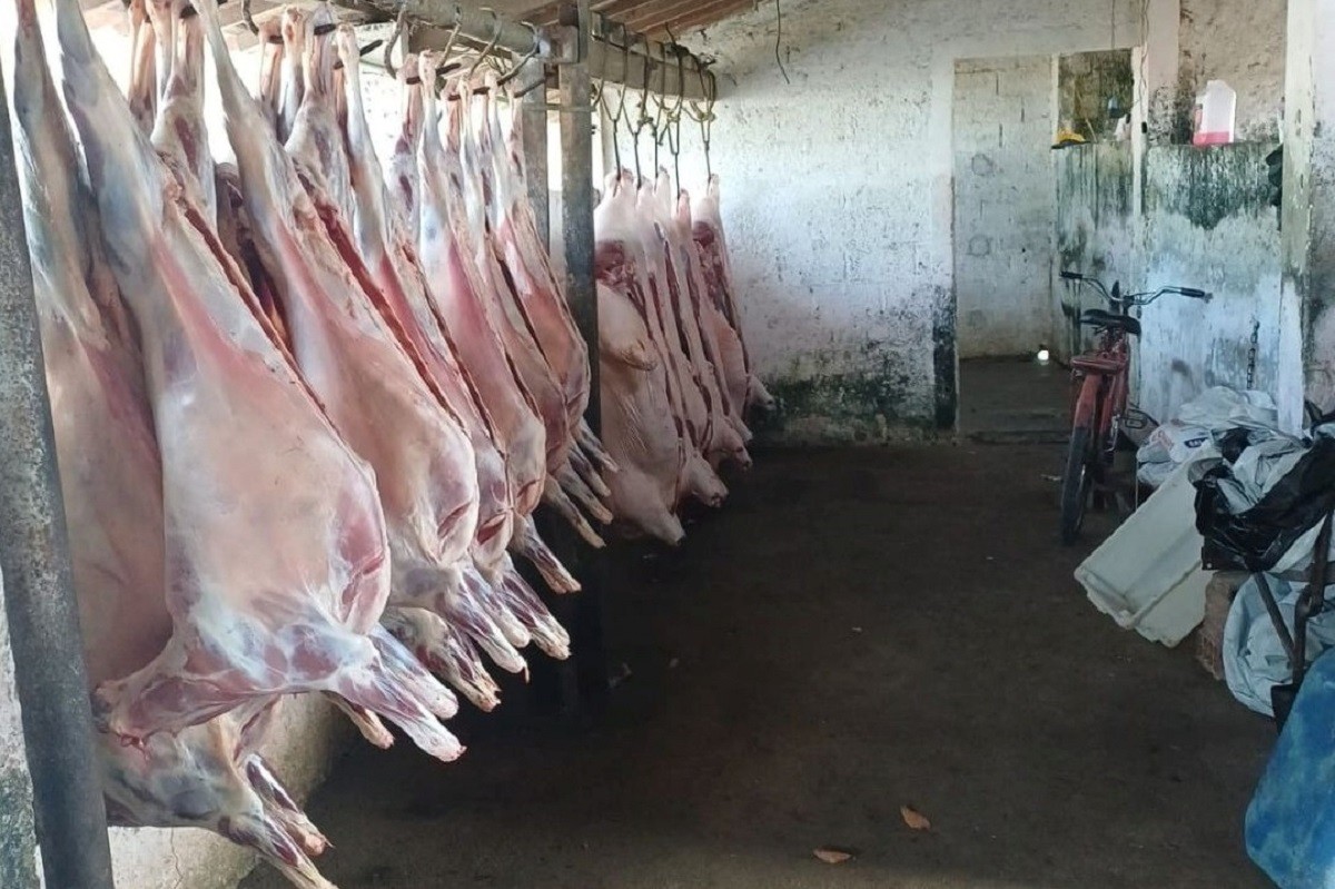 Abatedouro clandestino é flagrado em condições insalubres em União dos Palmares; proprietário é preso