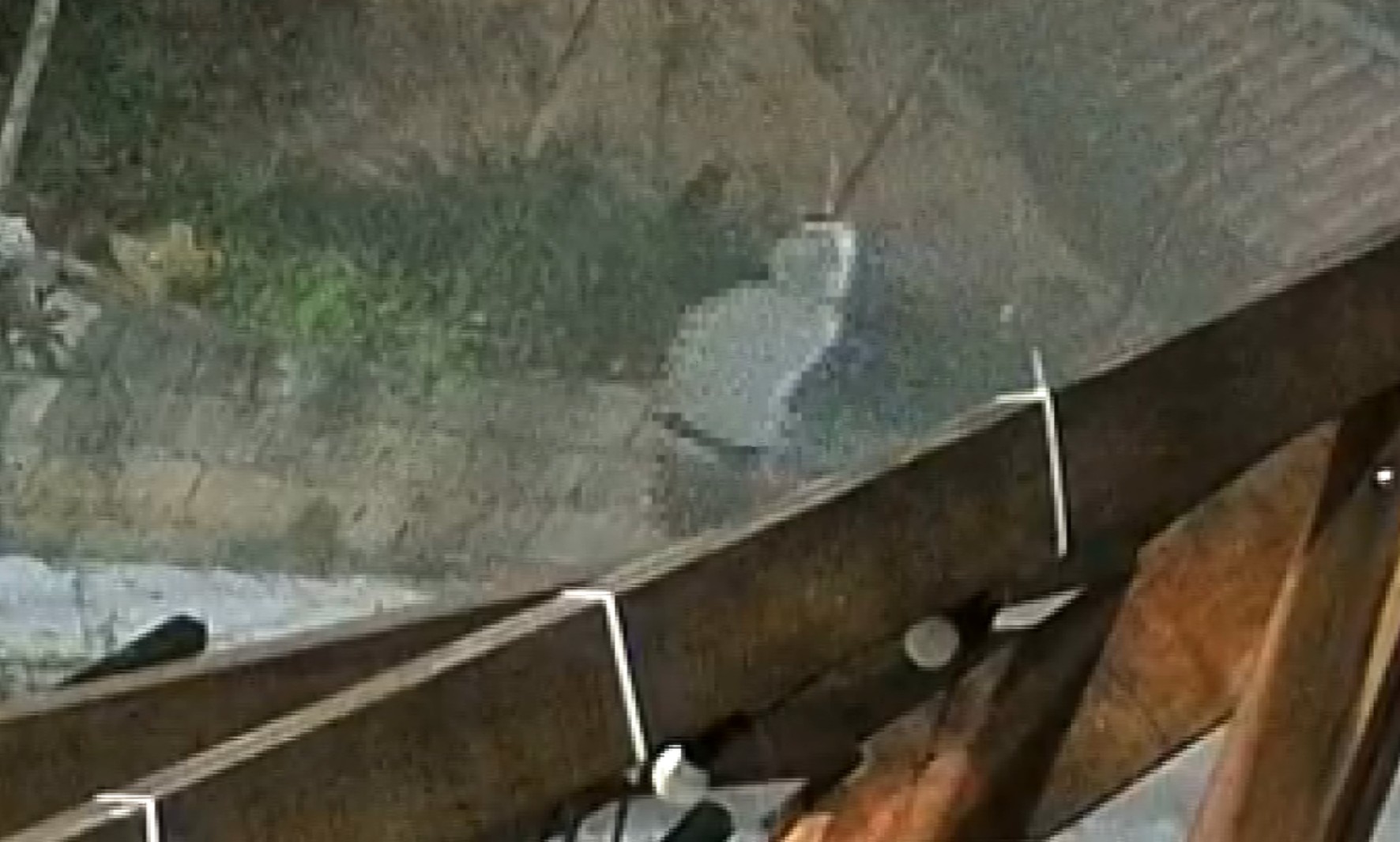 Morador escapa por pouco de caminhão que 'voou' após perder os freios em MG: 'Só escutei a explosão'