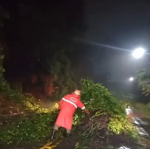Queda de árvore, ruas alagadas e queda de teto: chuvas intensas provocam transtornos em João Pessoa e região metropolitana