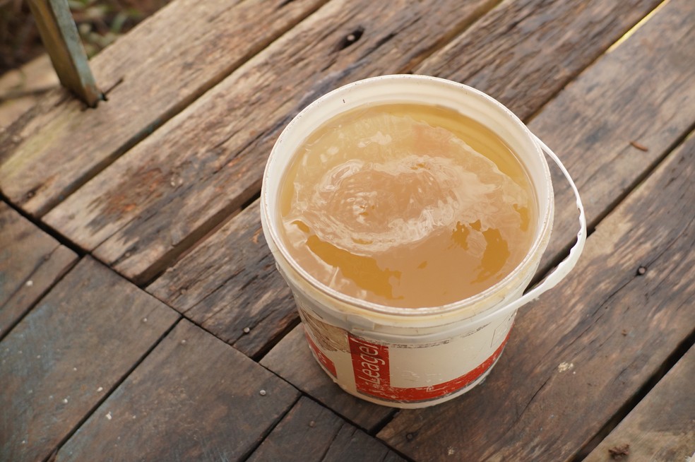 Água consumida nas escolas vem de rios e igarapés e não recebem tratamento algum. — Foto: Desiree Giusti/Habitat Brasil