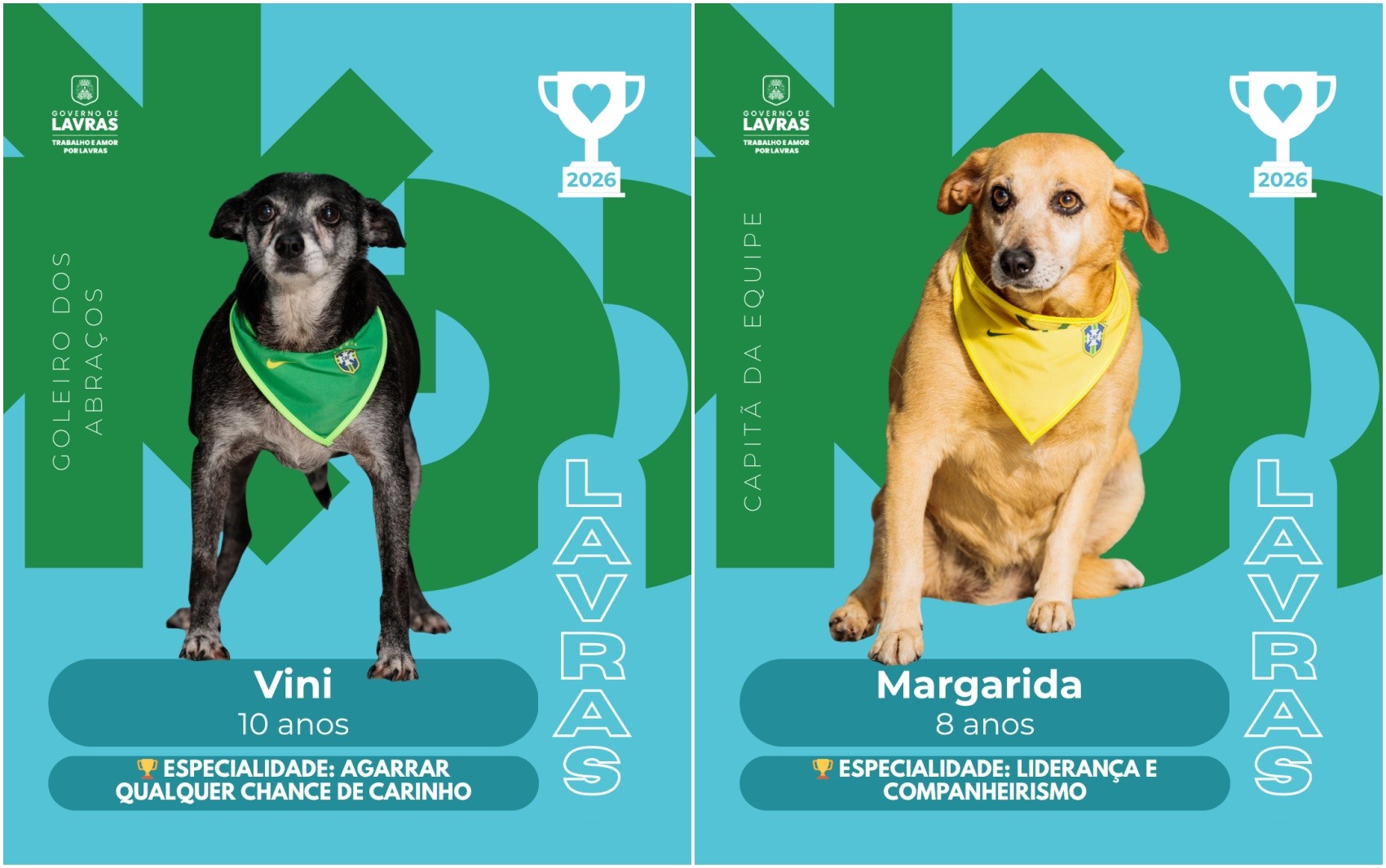 'Copa do Mundo': cães se transformam em figurinhas em campanha de adoção em Lavras, MG