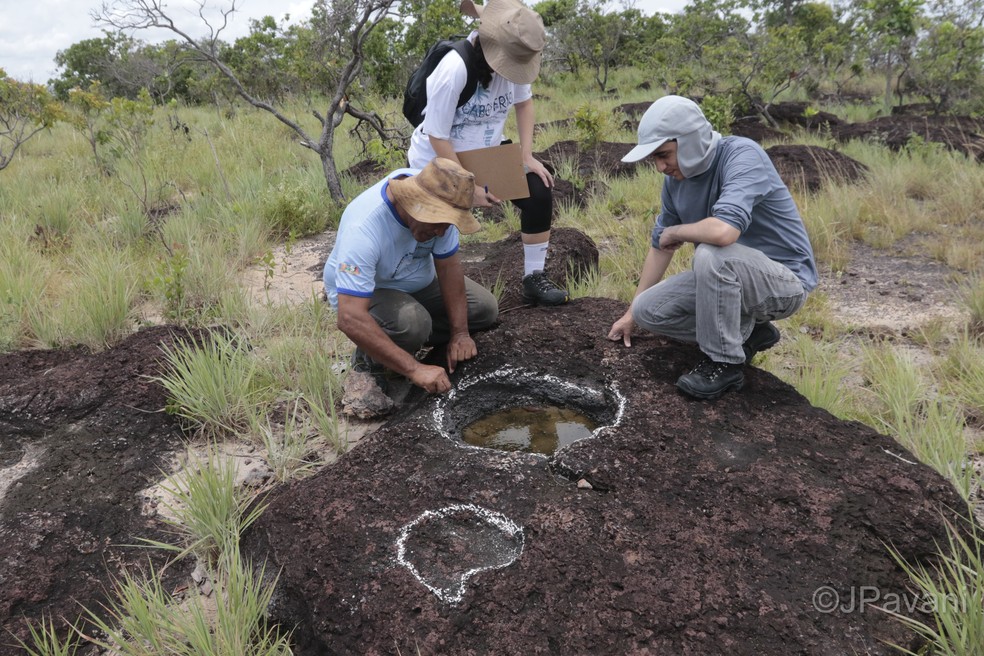 Pesquisa inédita descobre pegadas de dinossauros de mais de 100 milhões de anos na Amazônia