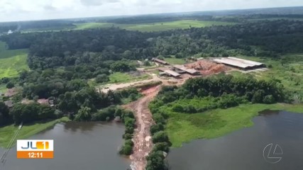 Polícia Federal investiga extração ilegal de madeira na Floresta de Caxiuanã, no Pará