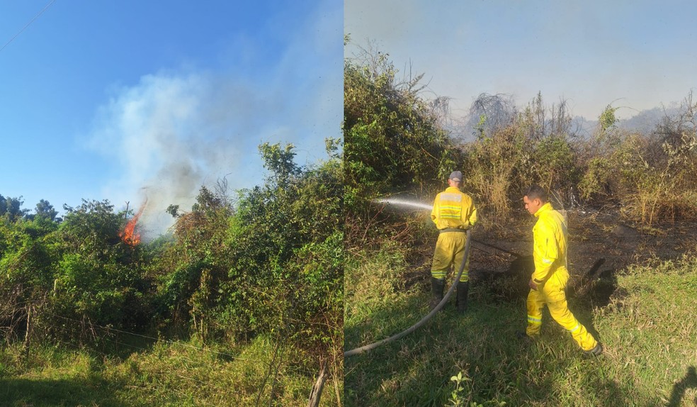 Incêndio atinge 3,3 mil m² de área de preservação permanente em Martinópolis (SP) — Foto: Defesa Civil/Divulgação