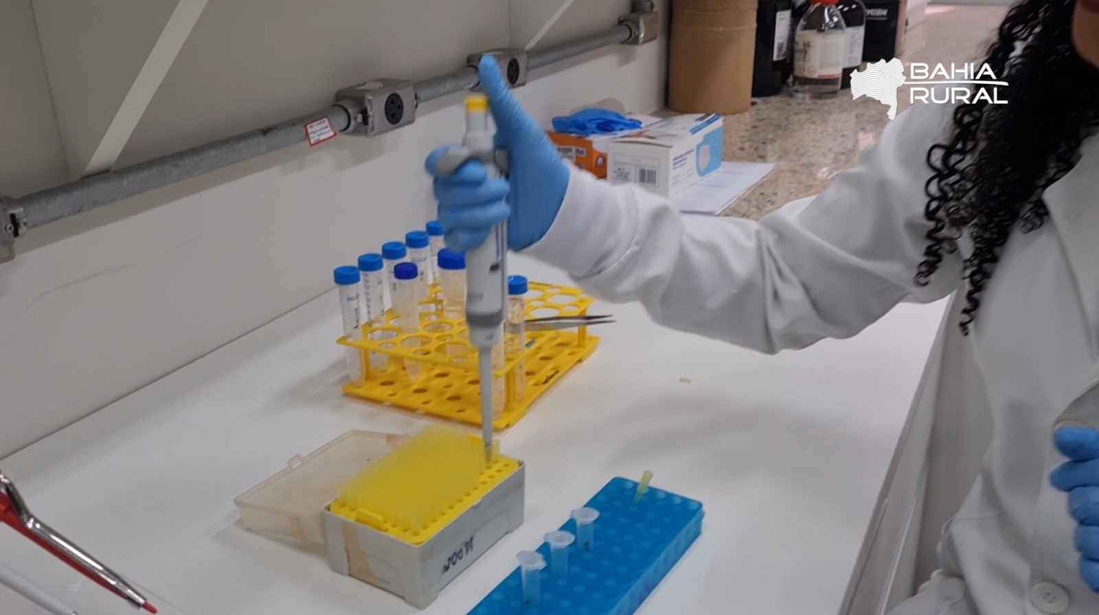 Você Não Tá Convidada pro Meu Bat Mitzvá!