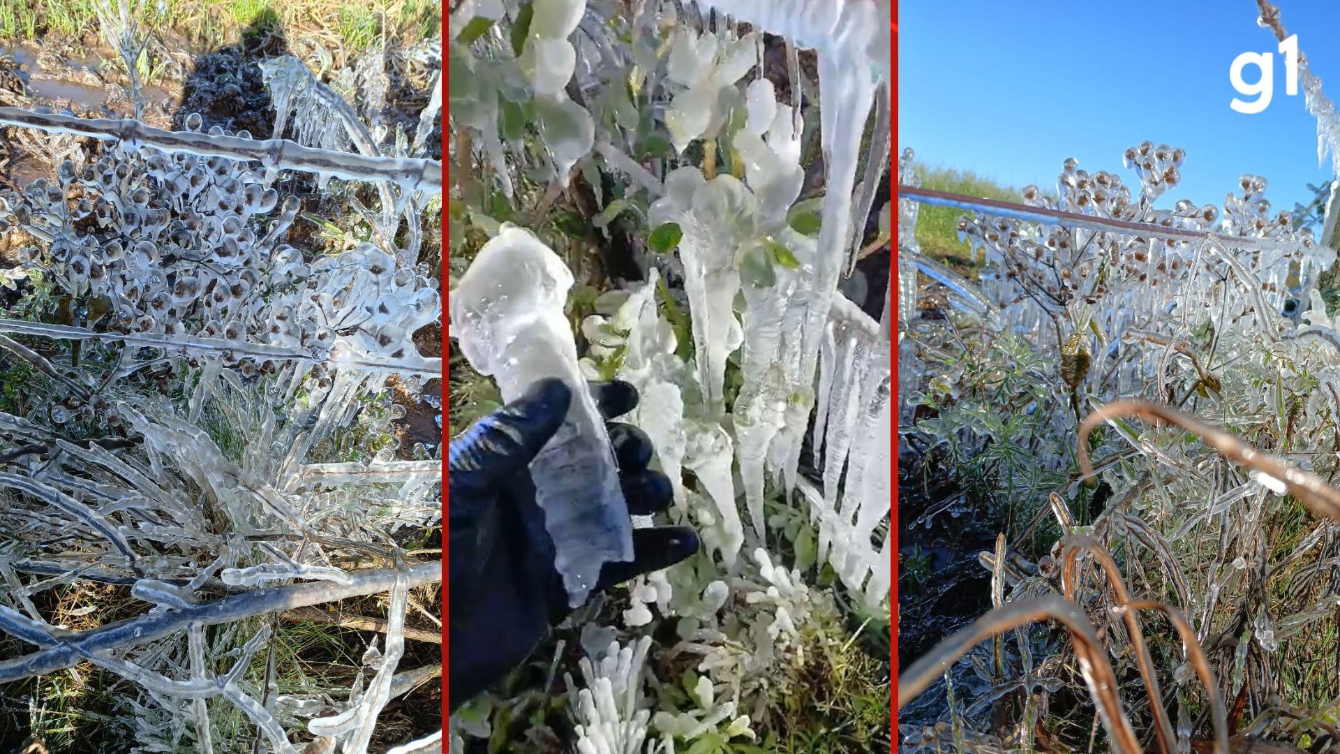 VÍDEO: geada vitrificada é registrada em cercas e vegetação durante onda de frio no interior de Soledade