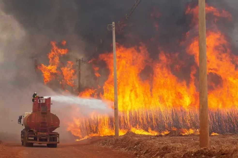 Bombeiros tentam apagar incêndio no município de Dumont (SP) no sábado — Foto: Reuters
