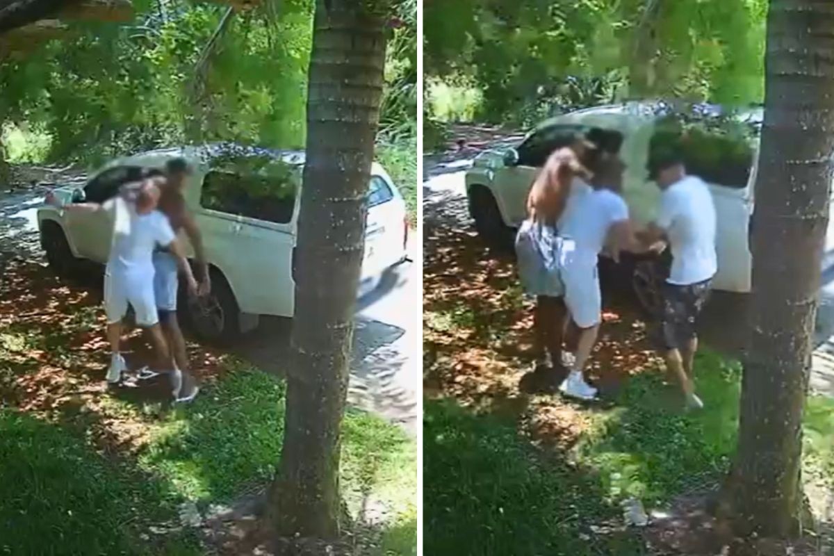 Idoso é agredido e tem carro roubado com cachorro dentro no litoral de SP; VÍDEO