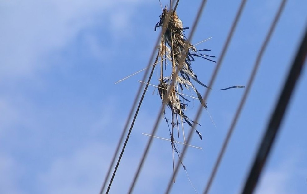 Pipa presa na rede elétrica — Foto: divulgação