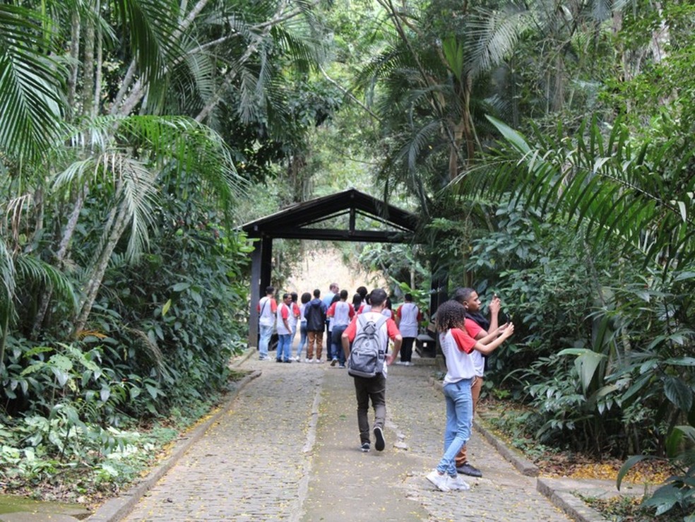 Instituto Nacional da Mata Atlântica (INMA), Santa Teresa, Espírito Santo. — Foto: Reprodução/Ministério da Ciência e Inovação