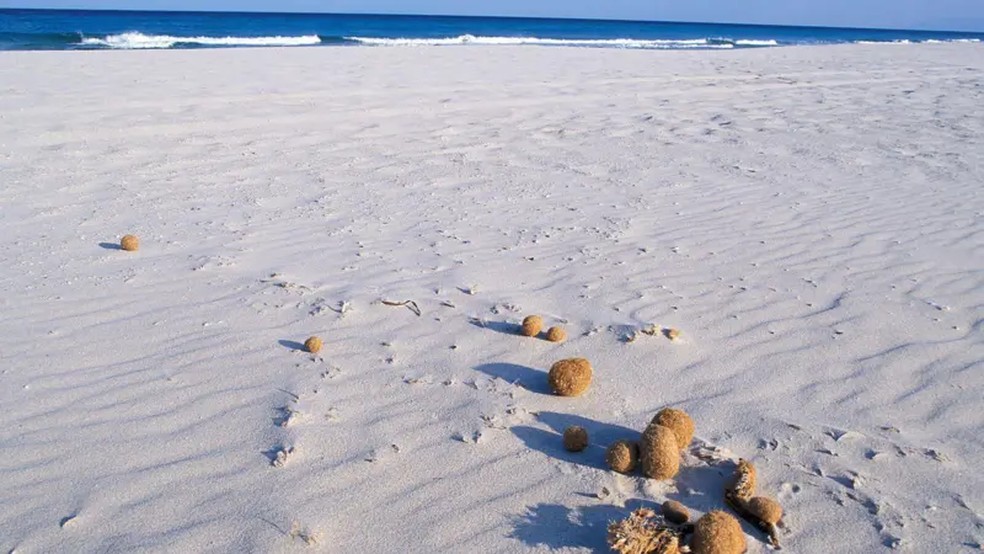 O fundo do mar recebe o plástico que se origina em terra firme e contamina o oceano. — Foto: Getty Images via BBC