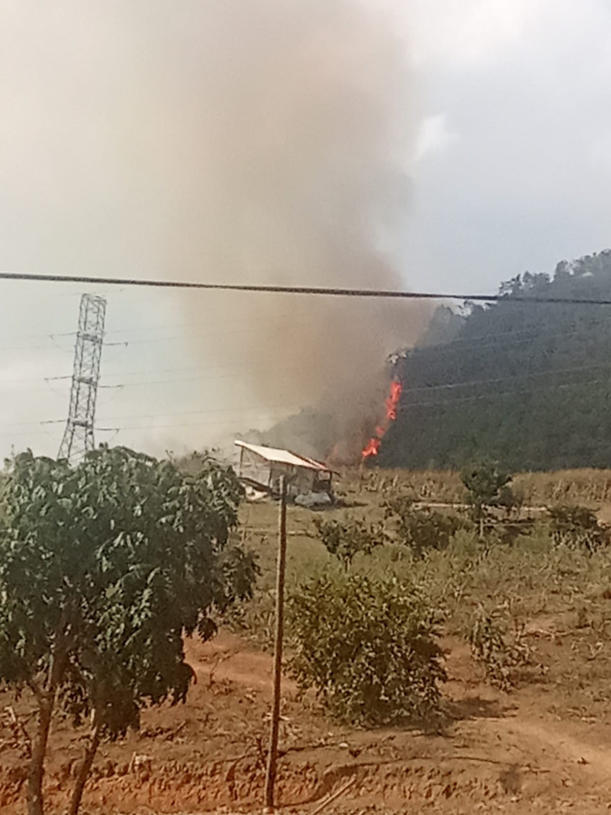 Indígenas relatam focos de incêndio no Pico do Jaraguá, na Zona Norte de São Paulo