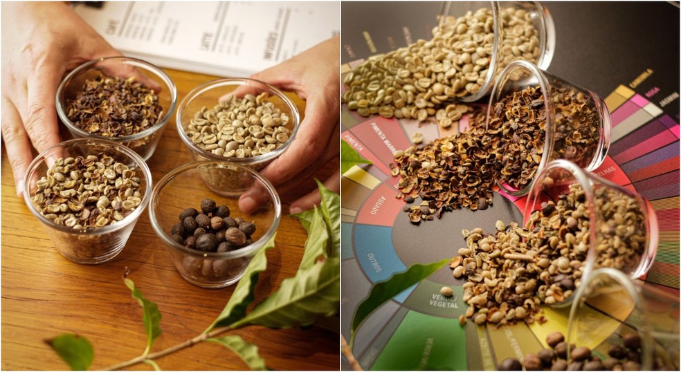 Cafés especiais possuem sabores como chocolate, frutas ou flores — Foto: Acervo 15 Coffee Company/Reprodução